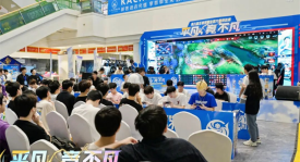 KPL夏季赛最佳阵容揭晓，新锐选手榜单亮点频现